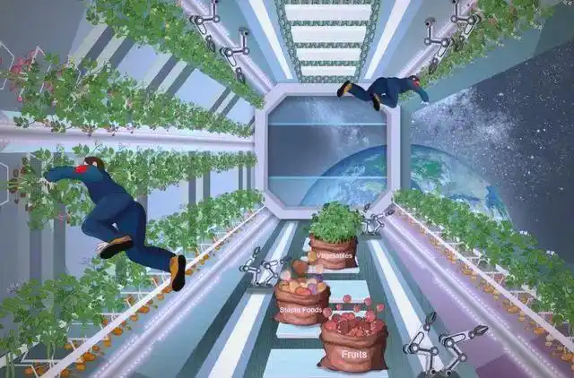 Picture of the moon growing vegetables