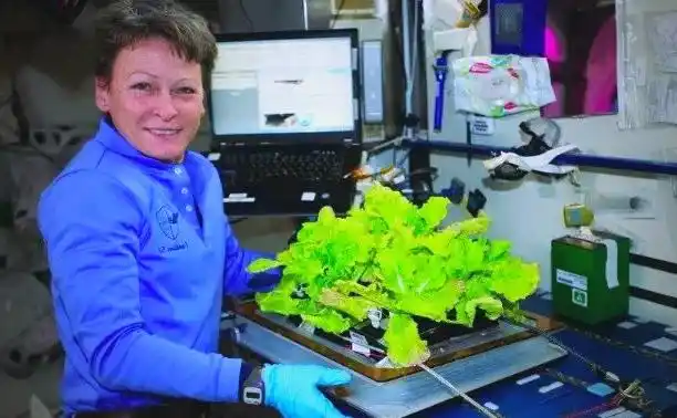 Picture of the moon growing vegetables