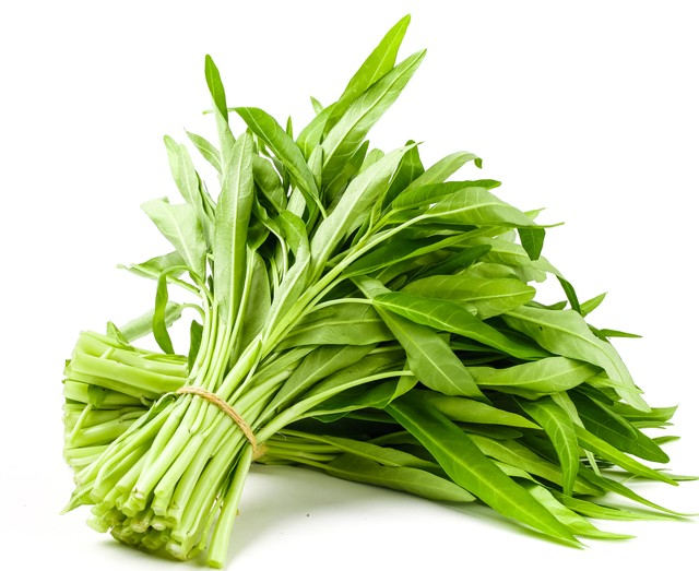 盆栽空心菜的种植方法