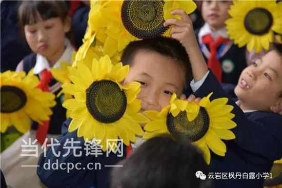 红领巾相约中国梦少先队知识竞赛