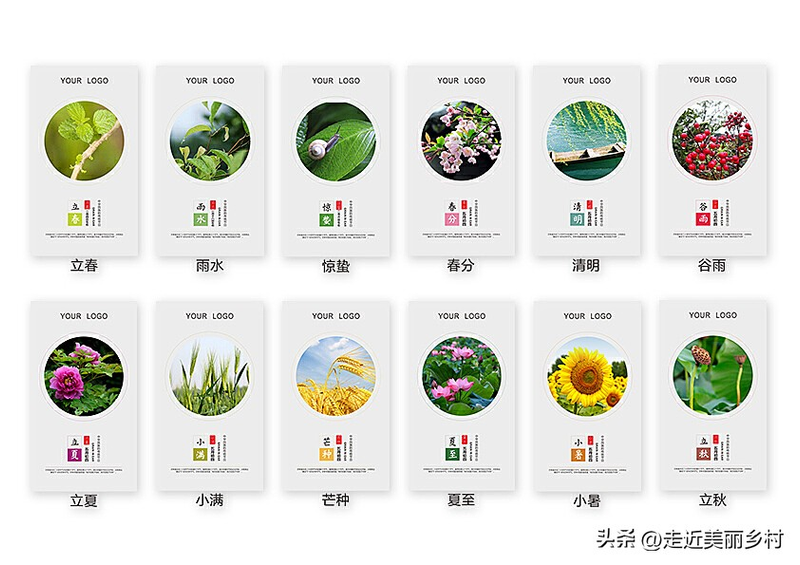 Four seasons of onion planting