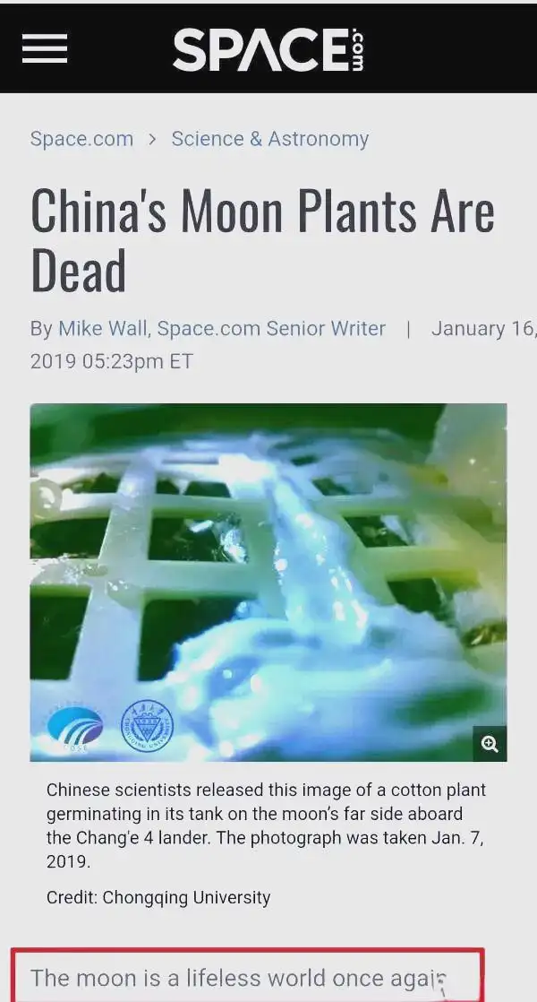 Picture of the moon growing vegetables