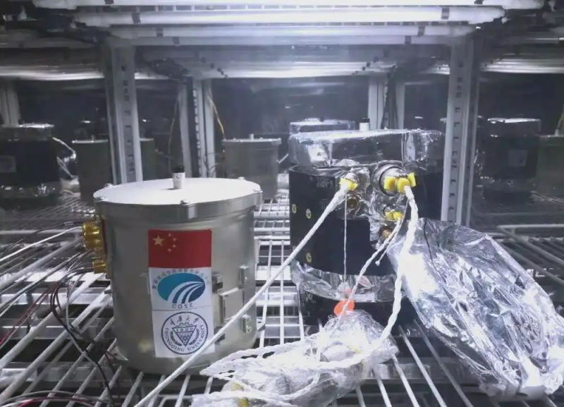 Picture of the moon growing vegetables