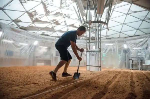 月球种植蔬菜图片