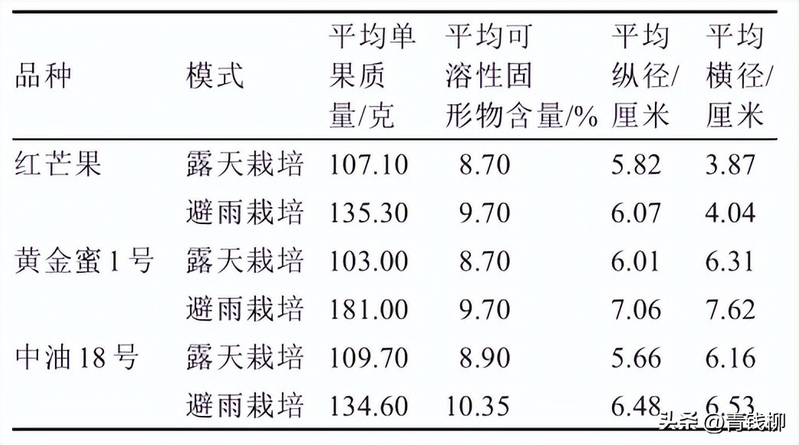 Peach tree planting techniques