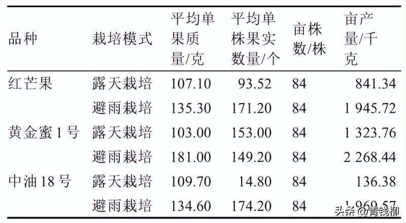 Peach tree planting techniques