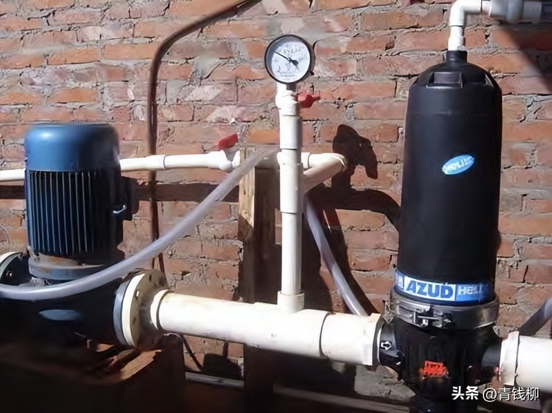 Peach tree planting techniques