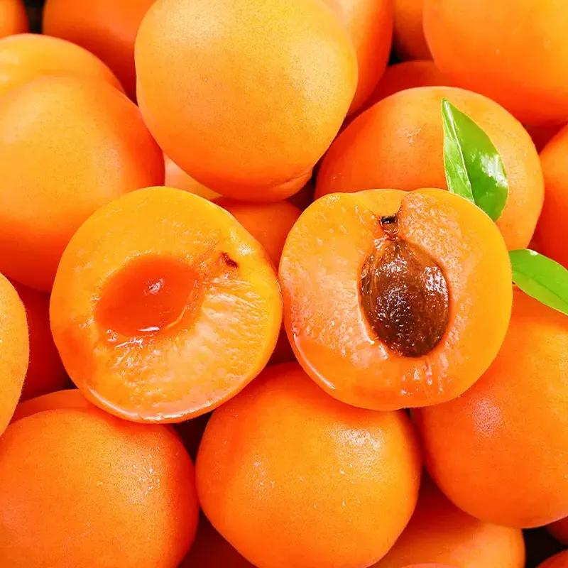 The method of planting the seedlings of yang