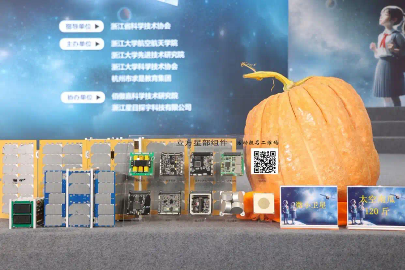 月球种植蔬菜图片