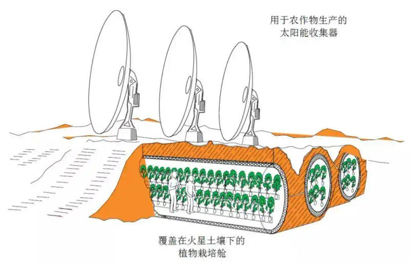 月球种植蔬菜图片