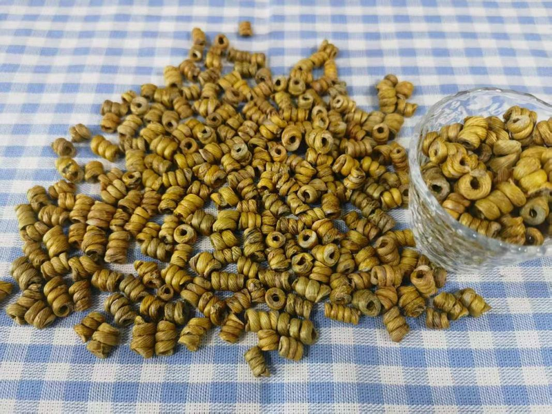 专业铁皮石斛种植技术