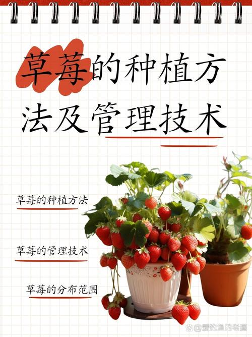 Tobacco growing techniques