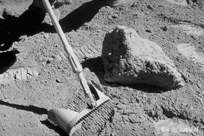 Picture of the moon growing vegetables