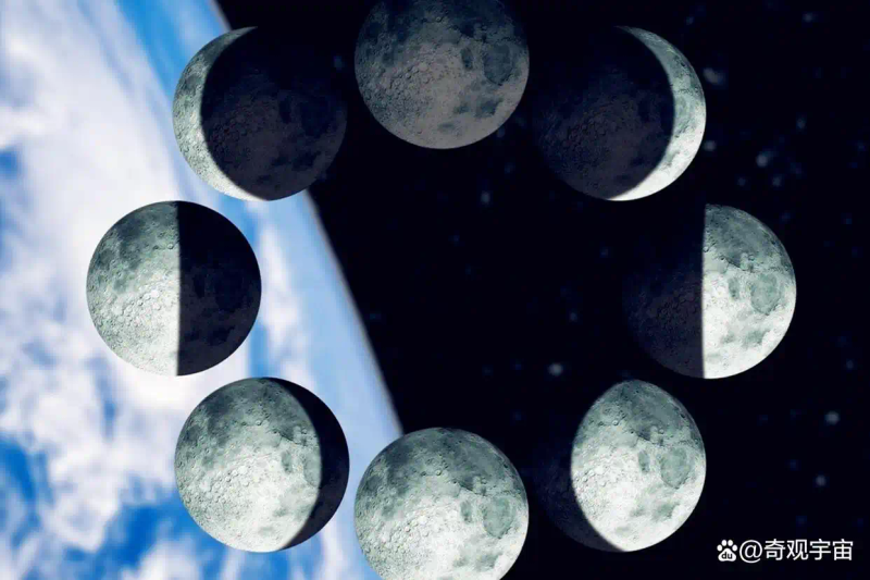 Picture of the moon growing vegetables