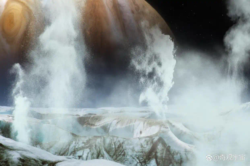 Picture of the moon growing vegetables