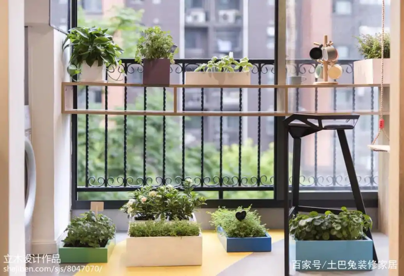 Family balcony gardening