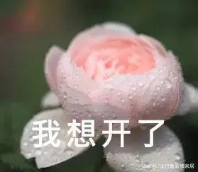 Family balcony gardening