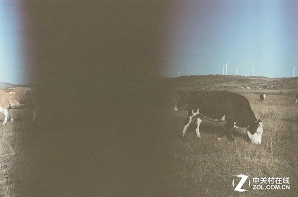 Maintenance of digital cameras