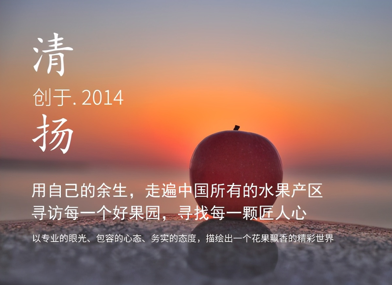 种植什么果树赚钱