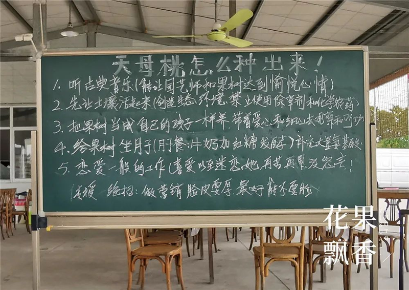 种植什么果树赚钱