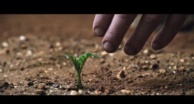 月球种植蔬菜图片