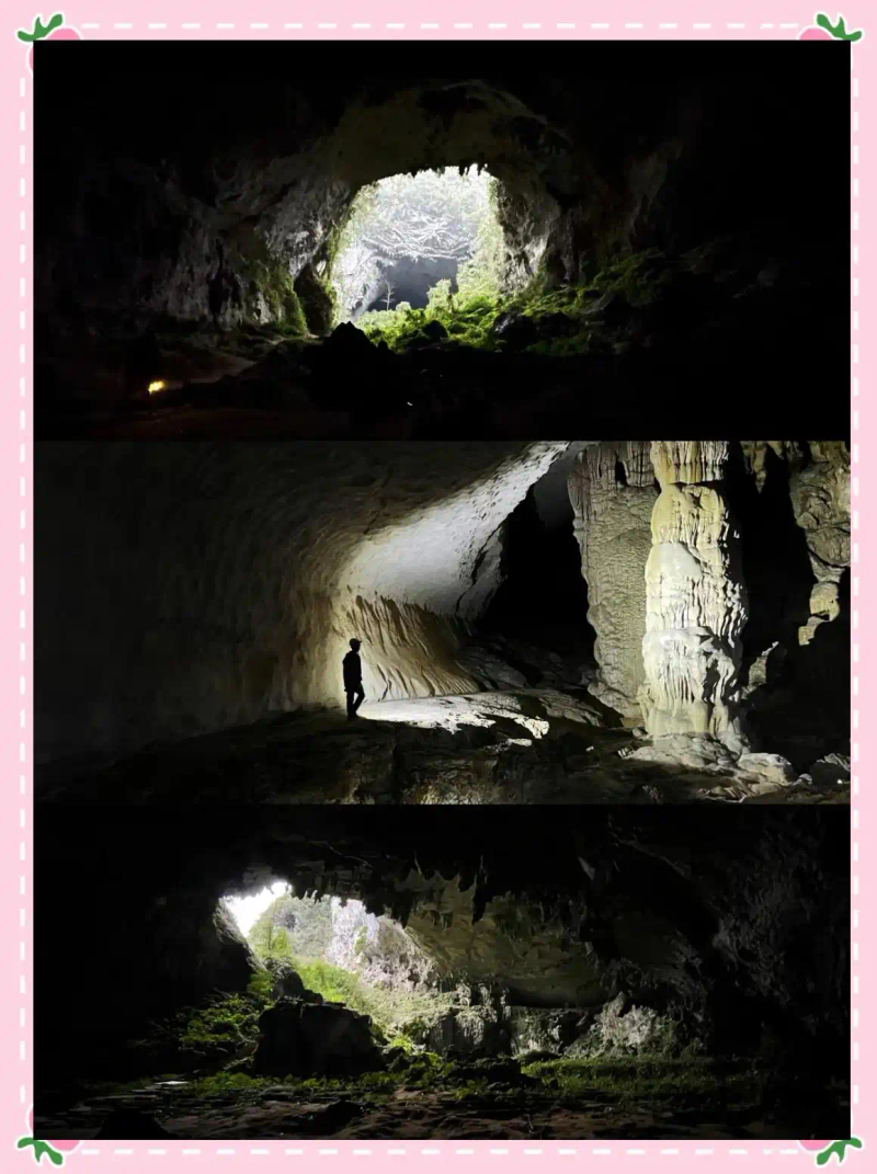 月球种植蔬菜图片