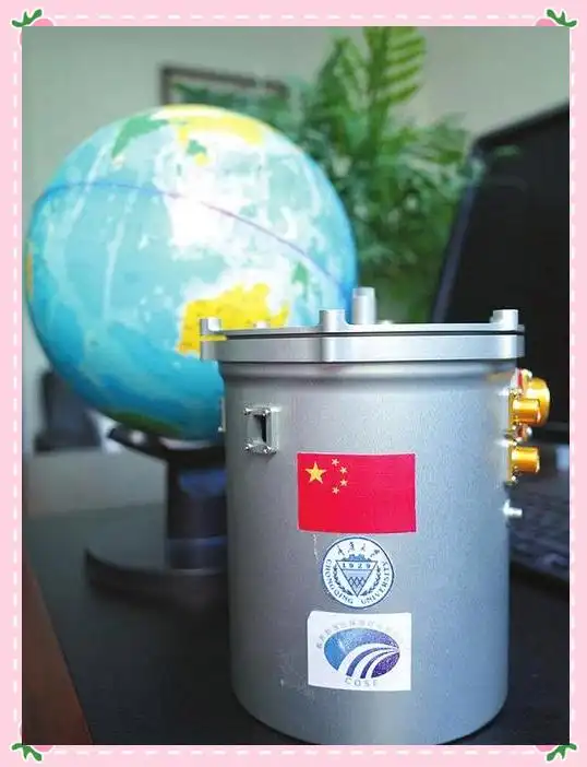 月球种植蔬菜图片