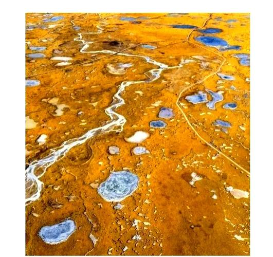 Brief description of the causes and trends of lake malawi