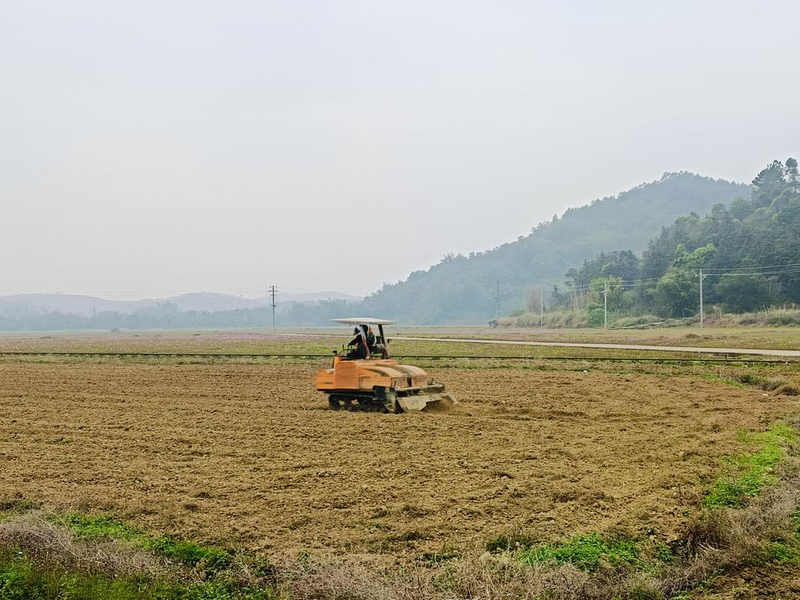 Potato cultivation methods