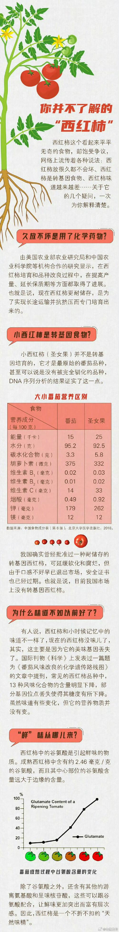 Tomato seed cultivation methods