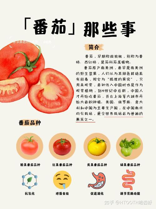 Tomato seed cultivation methods