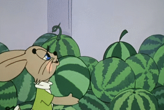 Early childhood, 8424 watermelon cultivation techniques