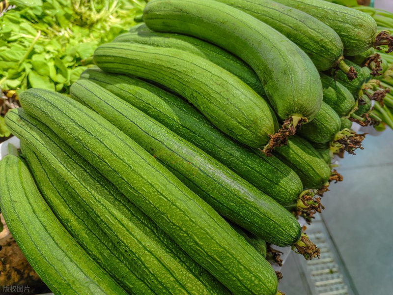 Cucumber cultivation methods