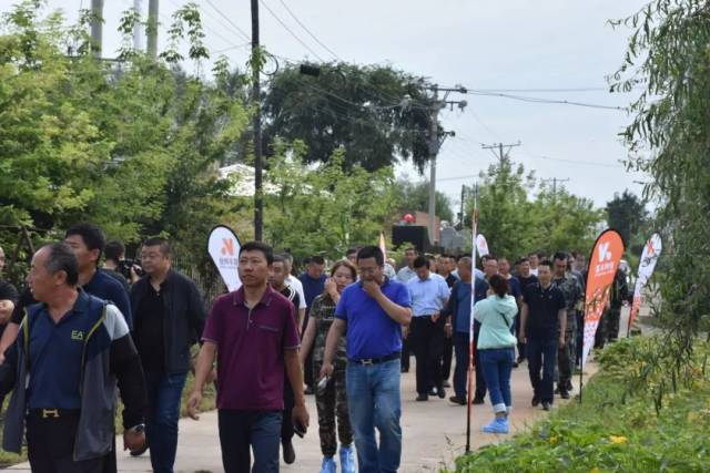 粘玉米种植技术