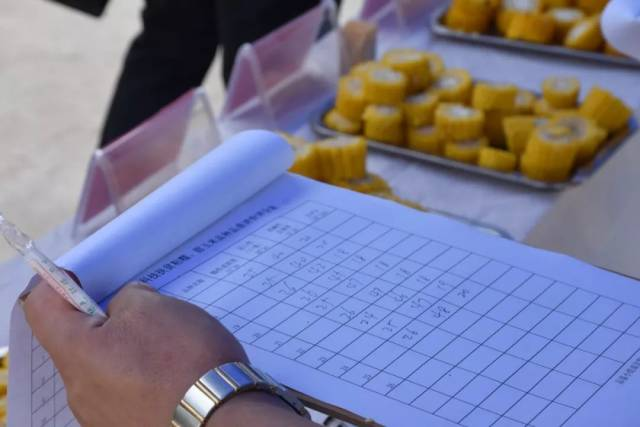 粘玉米种植技术