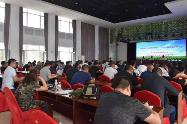 粘玉米种植技术