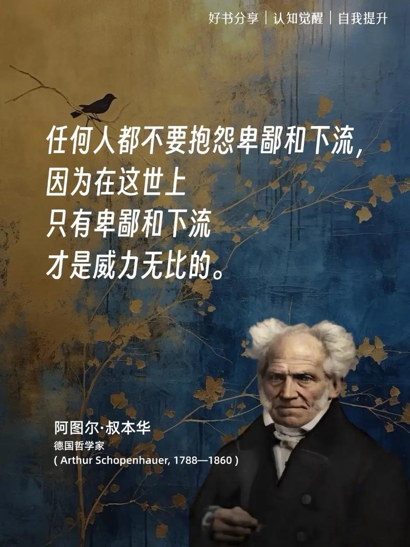 叔本华理论影响