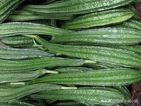 Cucumber cultivation methods