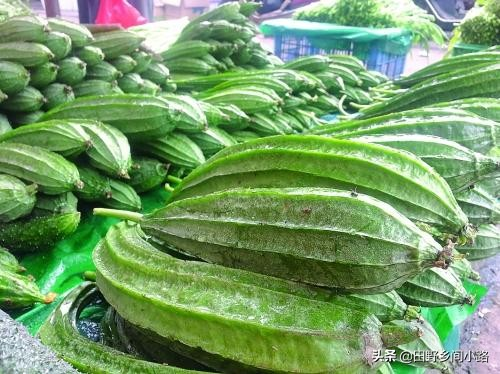 Cucumber cultivation methods