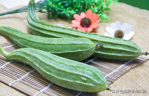 Cucumber cultivation methods