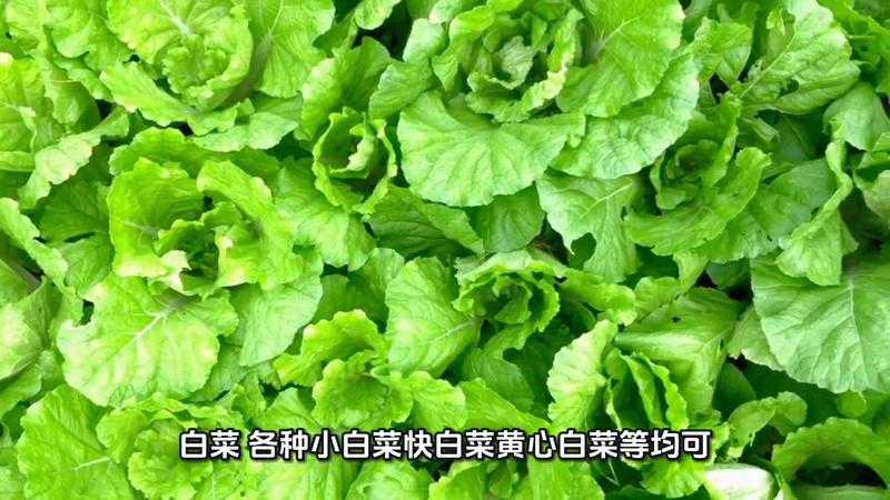 Four seasons of onion planting