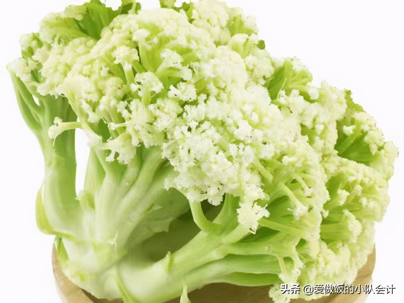 Plantation of organic vegetables