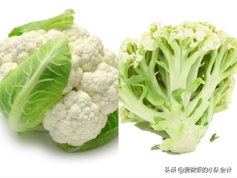 Plantation of organic vegetables