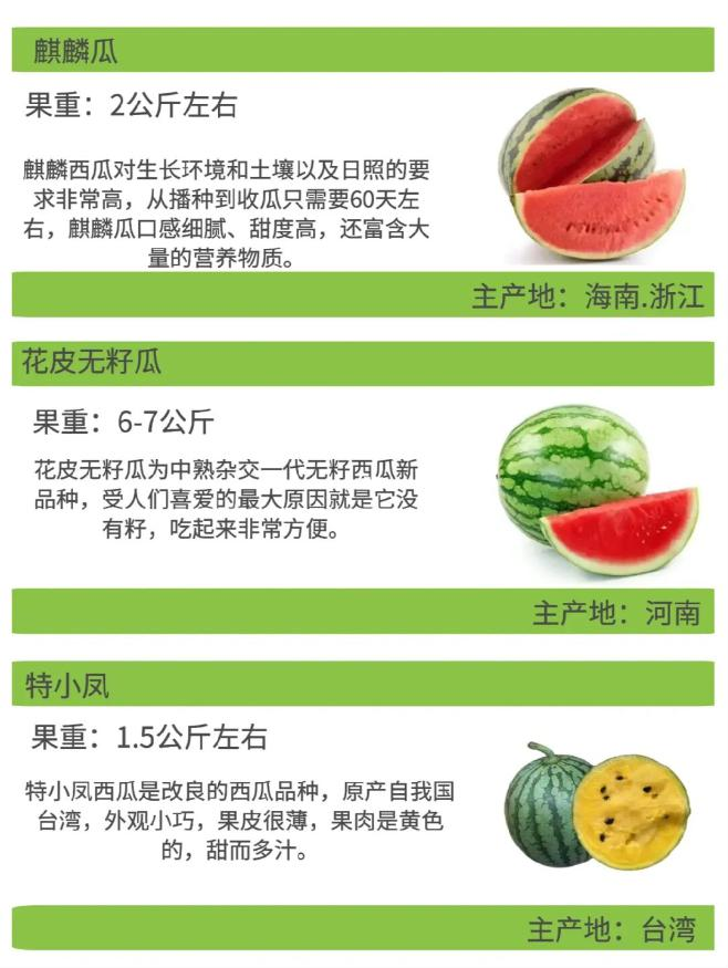 Early childhood, 8424 watermelon cultivation techniques