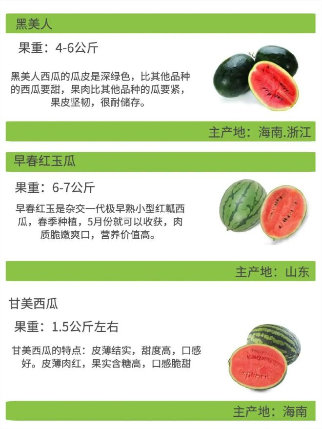 Early childhood, 8424 watermelon cultivation techniques