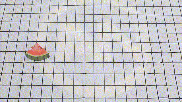 Early childhood, 8424 watermelon cultivation techniques