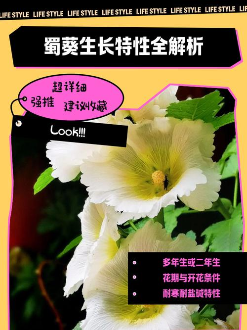 The method of planting sunflower seeds