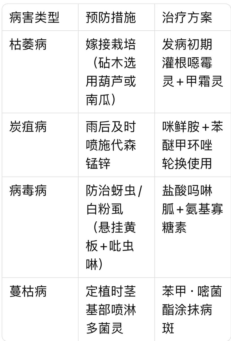 cctv-7西瓜的种植技术