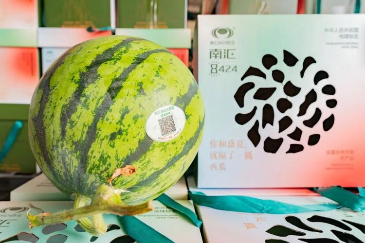 早佳8424西瓜种植技术