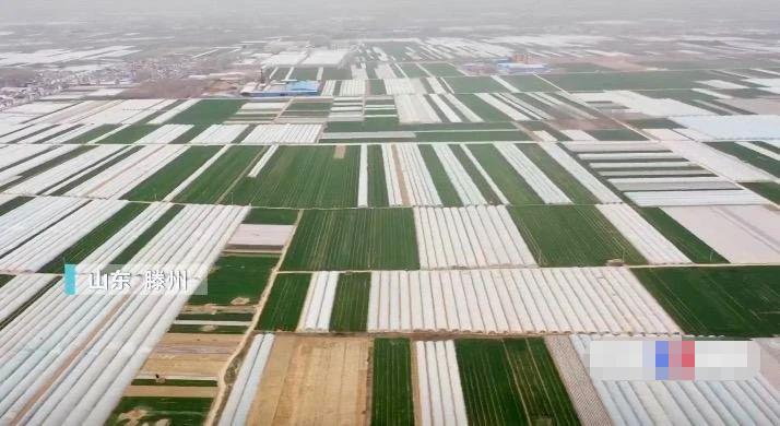 Jilin spring potato plantation technology